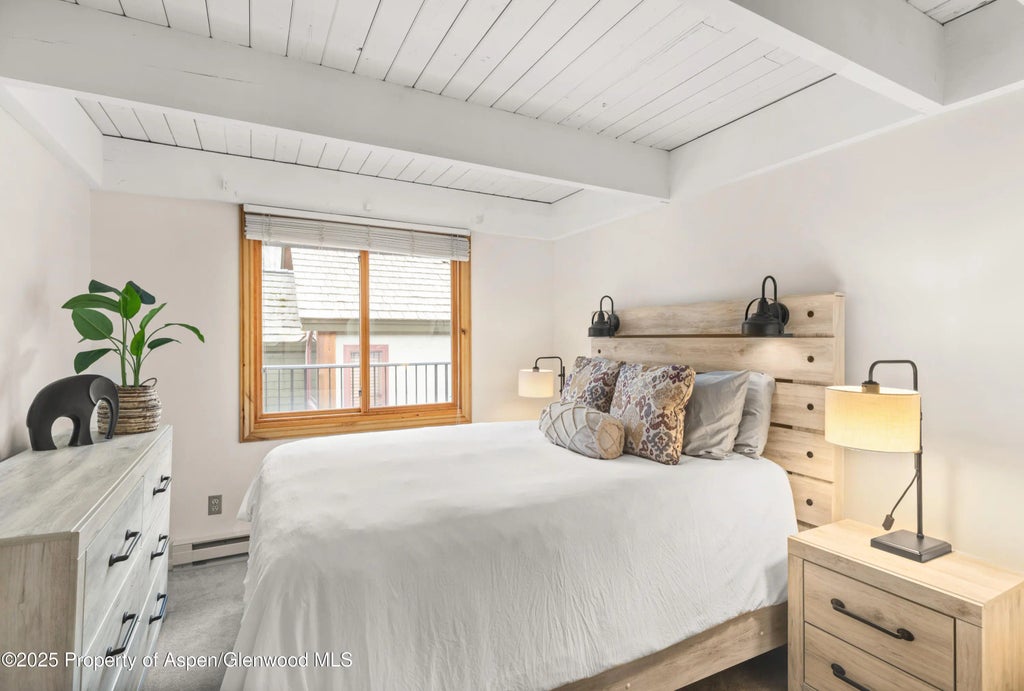 8 of 11 - 901 E Hyman Avenue 14, Aspen, CO