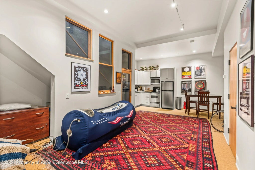 19 of 26 - 308 Park Avenue, Aspen, CO