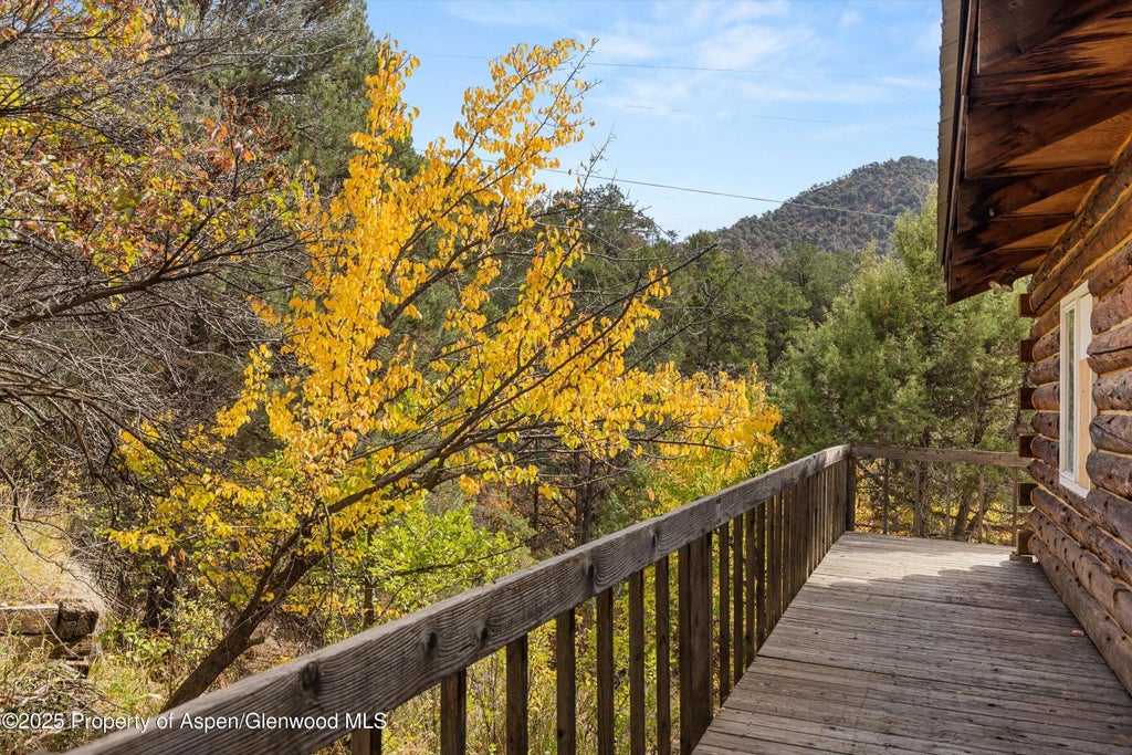 37 of 40 - 635 Cedar Drive, Basalt, CO