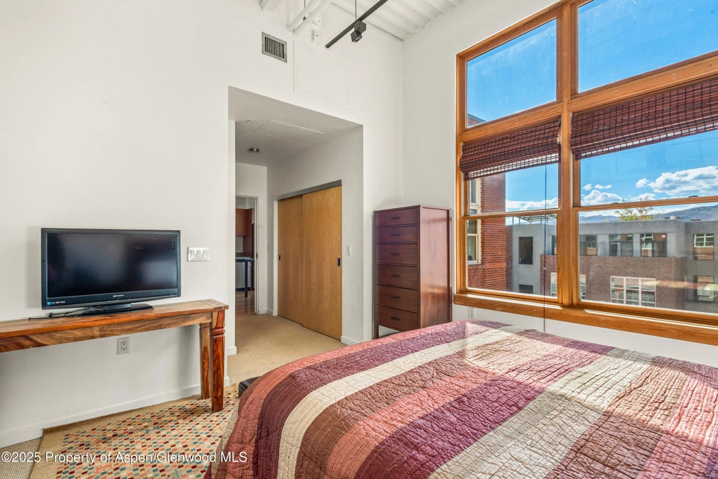 8 of 11 - 231 Robinson Street #r-340, Basalt, CO