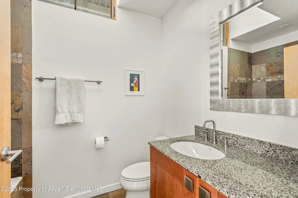 9 of 11 - 231 Robinson Street #r-340, Basalt, CO