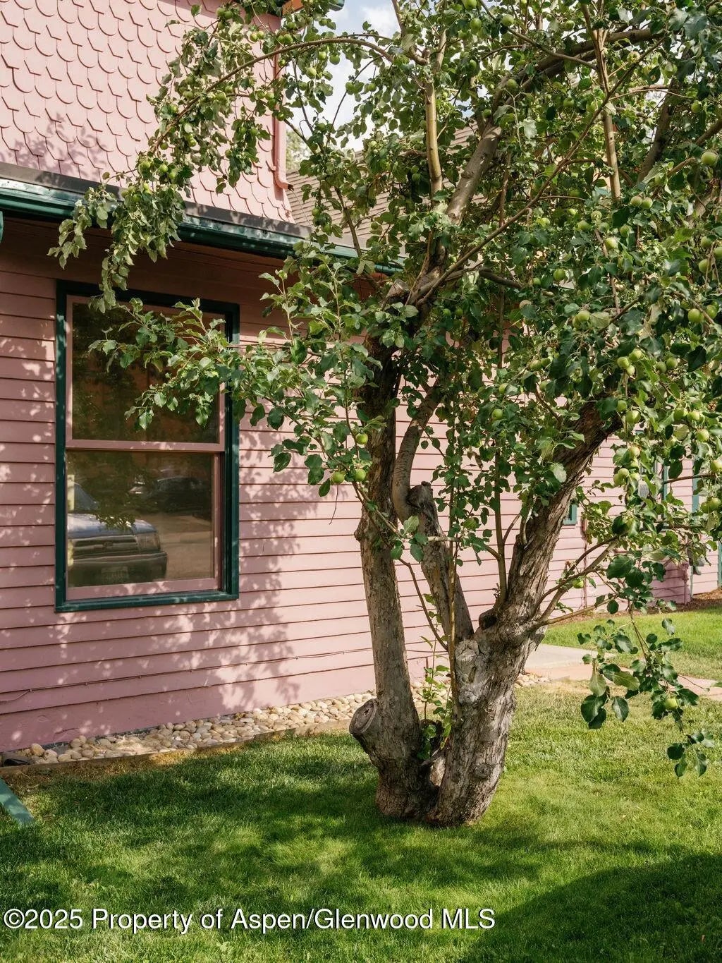 36 of 36 - 333 W Main Street B2, Aspen, CO