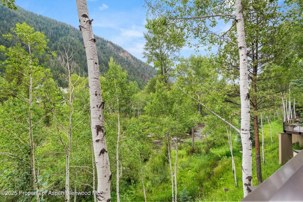 25 of 27 - 1429 Crystal Lake Road, Aspen, CO