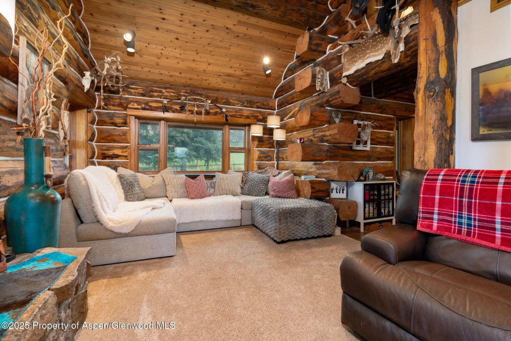 6 of 47 - 1334 County Road 250, Silt, CO