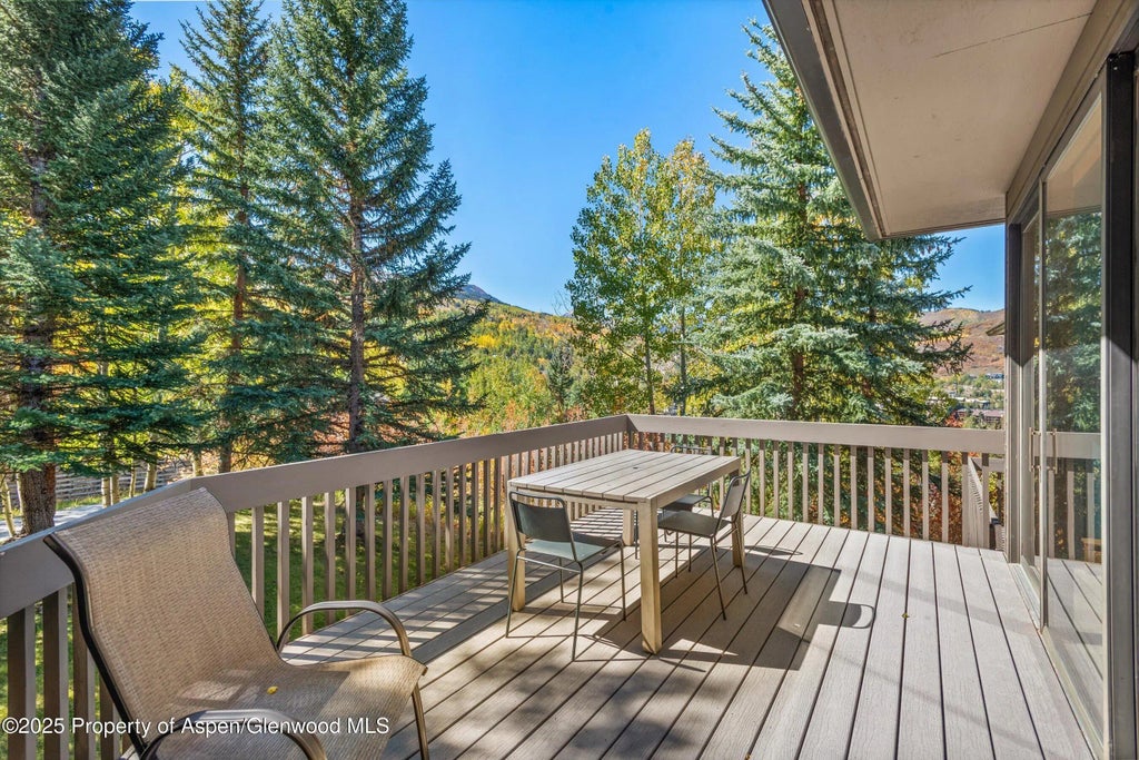25 of 56 - 259 Deer Ridge Lane, Snowmass Village, CO
