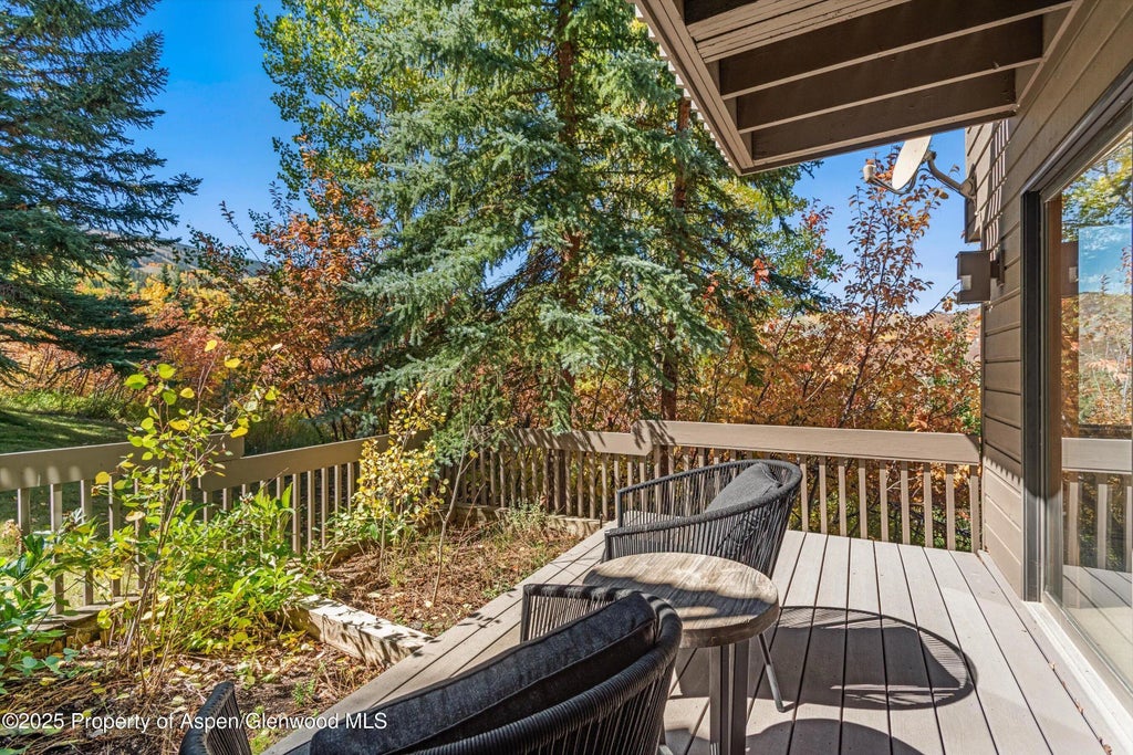 41 of 56 - 259 Deer Ridge Lane, Snowmass Village, CO