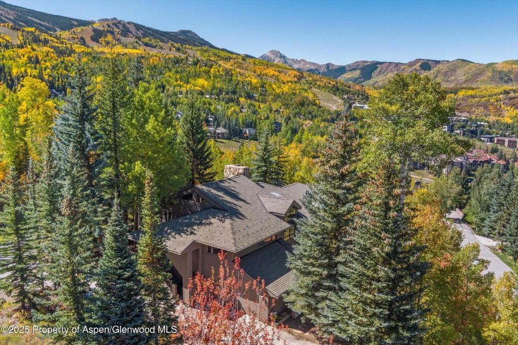 50 of 56 - 259 Deer Ridge Lane, Snowmass Village, CO