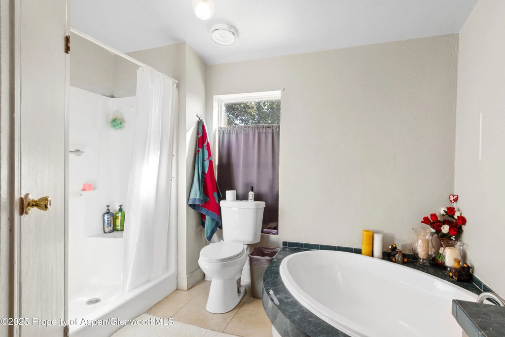 8 of 14 - 115 Silver Queen Circle, Battlement Mesa, CO