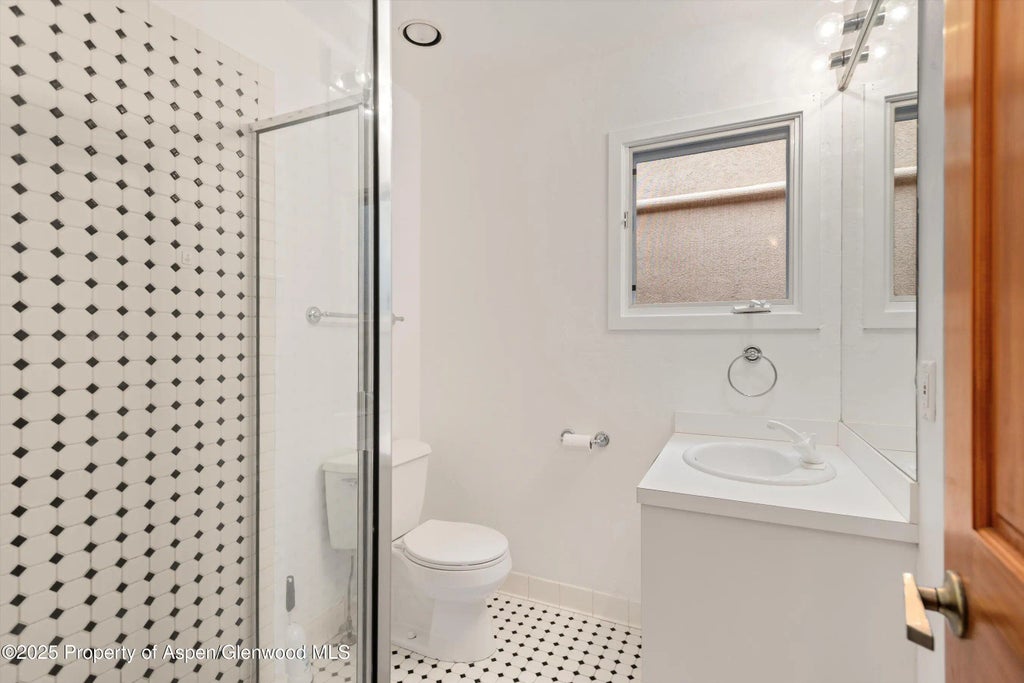 15 of 22 - 814 W Bleeker Street E5, Aspen, CO