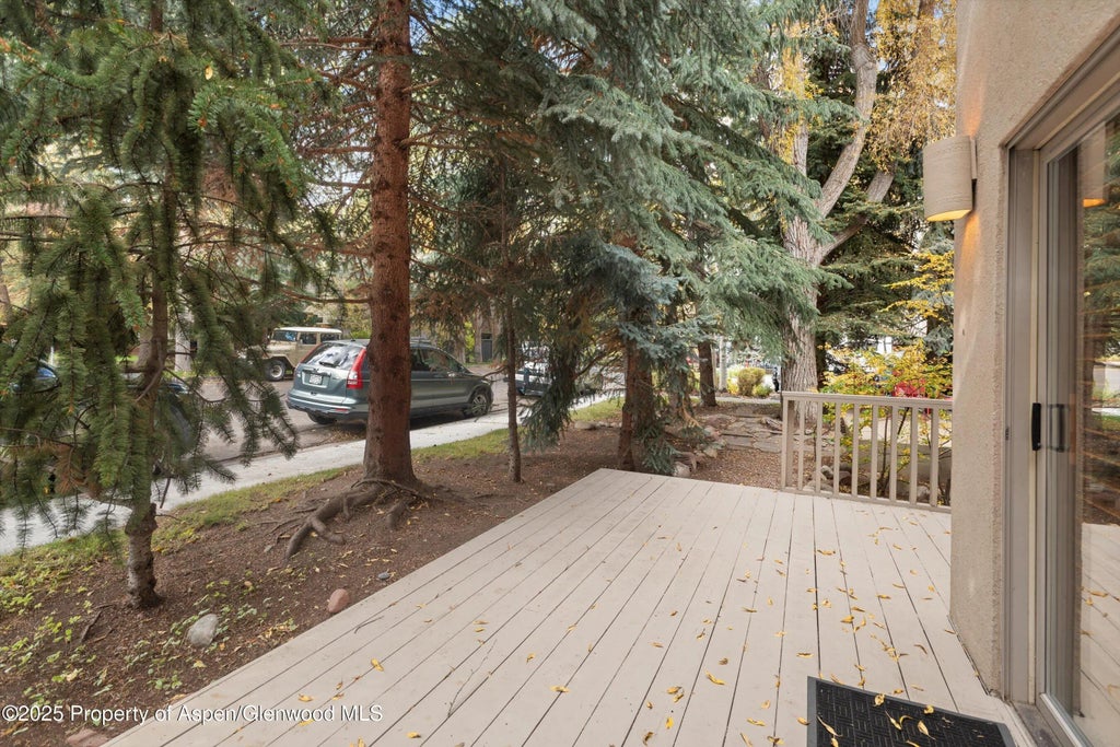 20 of 22 - 814 W Bleeker Street E5, Aspen, CO