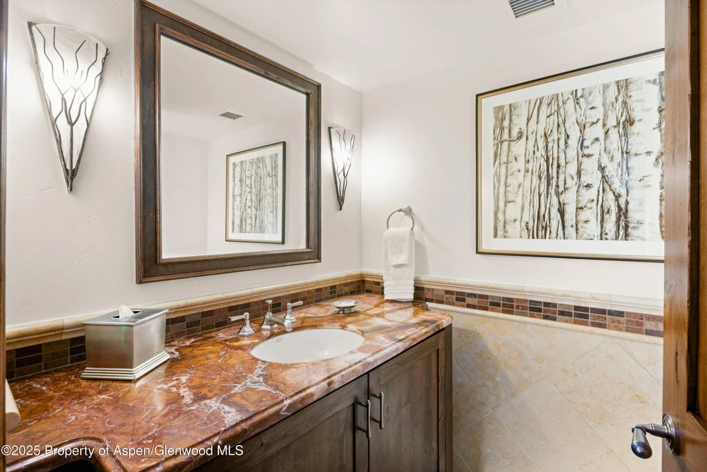 12 of 13 - 315 E Dean St. B21, D9, Aspen, CO