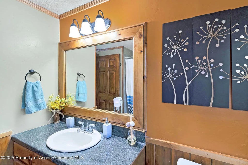 13 of 15 - 5387 County Road 154 70, Glenwood Springs, CO