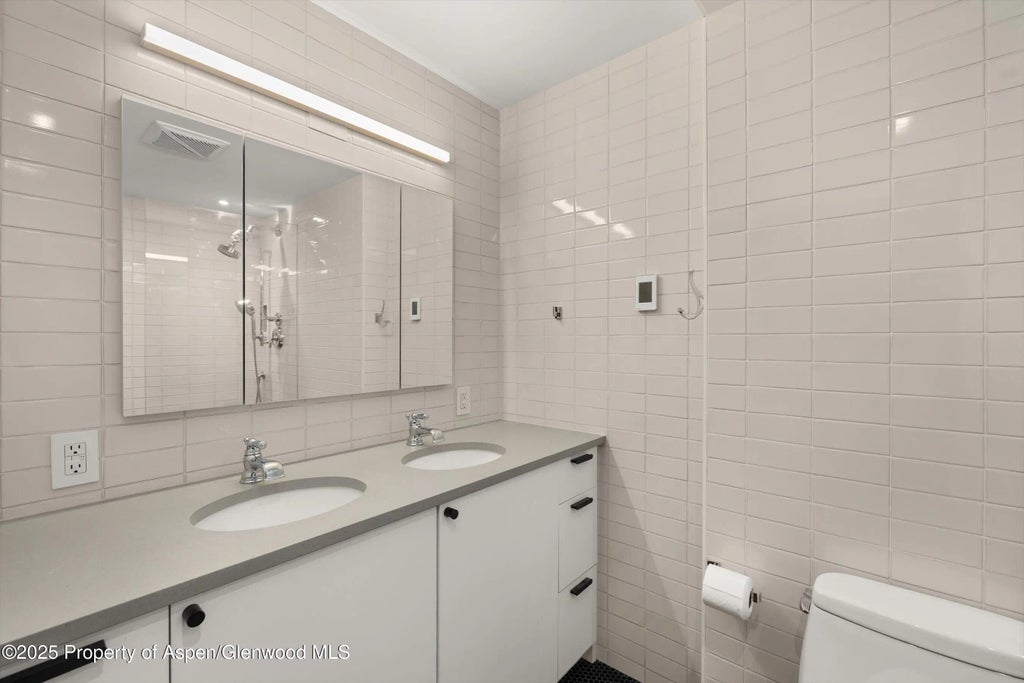 7 of 12 - 416 Vine Street 416, Aspen, CO