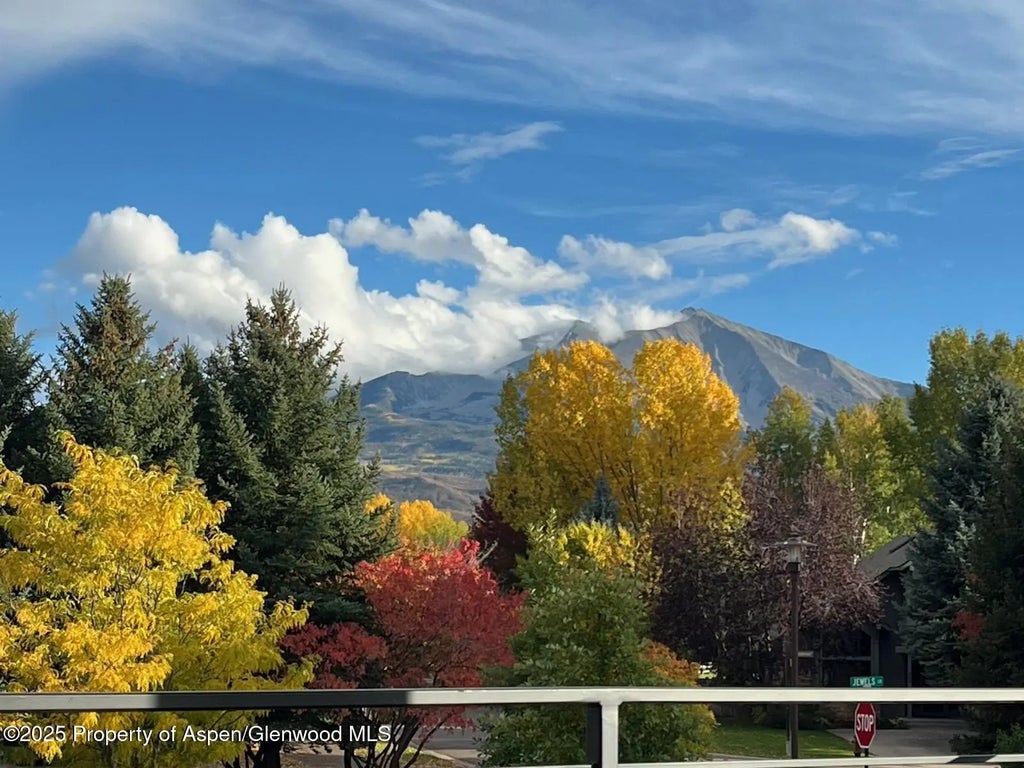 25 of 49 - 428 Jewels Lane, Carbondale, CO