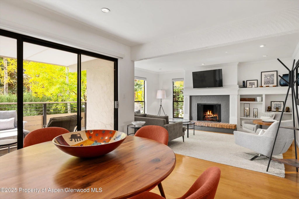 10 of 26 - 980 E Hyman Avenue 3, Aspen, CO