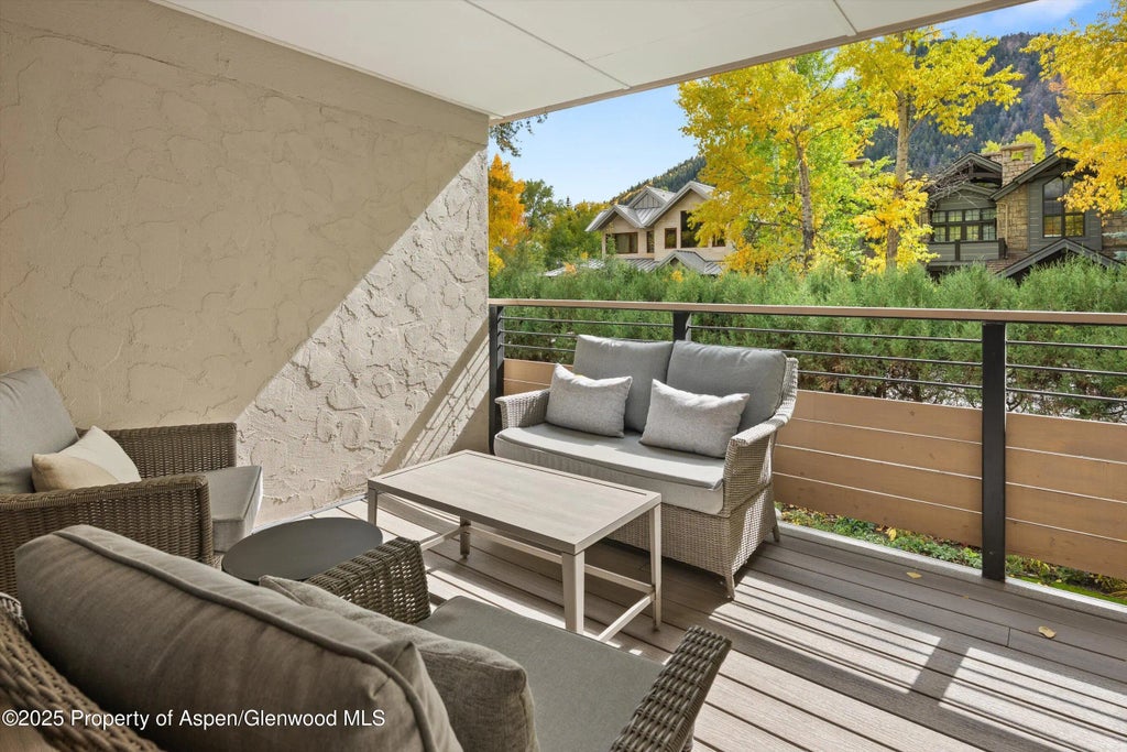 15 of 26 - 980 E Hyman Avenue 3, Aspen, CO