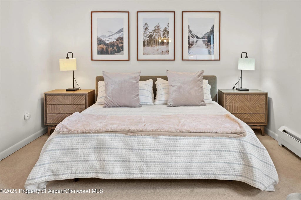 17 of 26 - 980 E Hyman Avenue 3, Aspen, CO