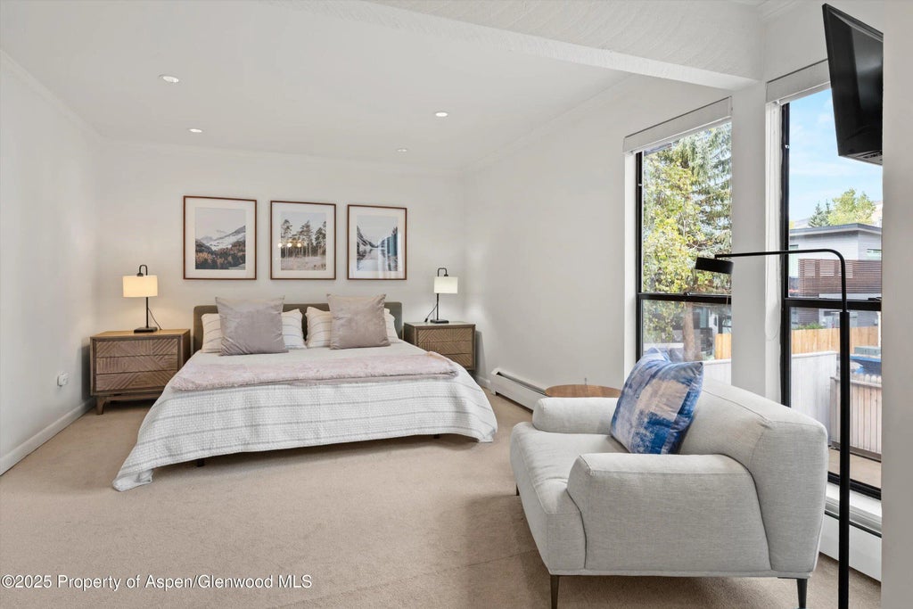 18 of 26 - 980 E Hyman Avenue 3, Aspen, CO