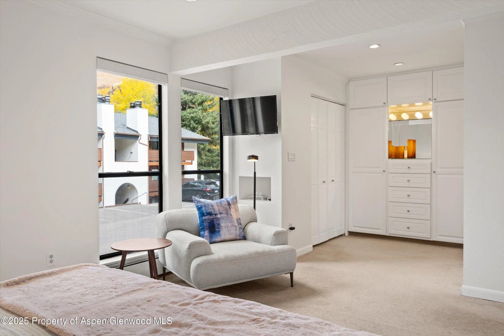 19 of 26 - 980 E Hyman Avenue 3, Aspen, CO