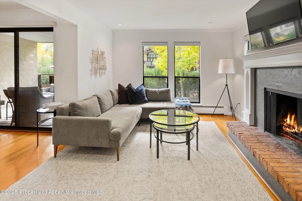 2 of 26 - 980 E Hyman Avenue 3, Aspen, CO