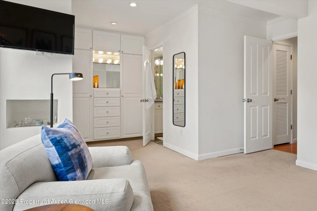 20 of 26 - 980 E Hyman Avenue 3, Aspen, CO