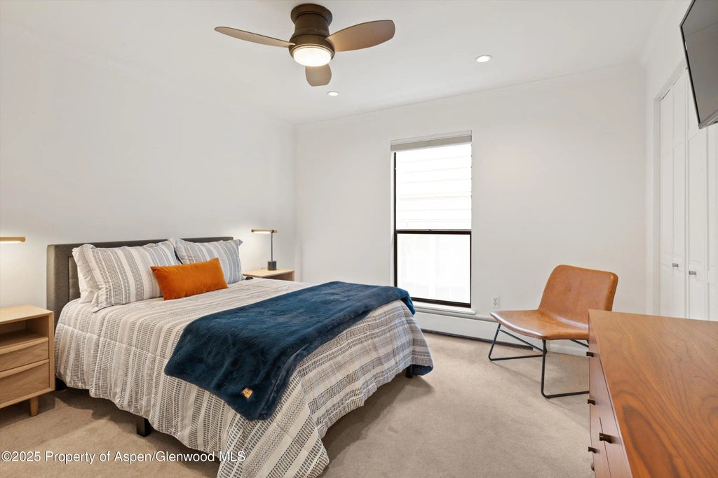 22 of 26 - 980 E Hyman Avenue 3, Aspen, CO