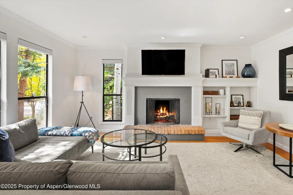 3 of 26 - 980 E Hyman Avenue 3, Aspen, CO