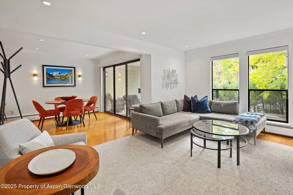 5 of 26 - 980 E Hyman Avenue 3, Aspen, CO