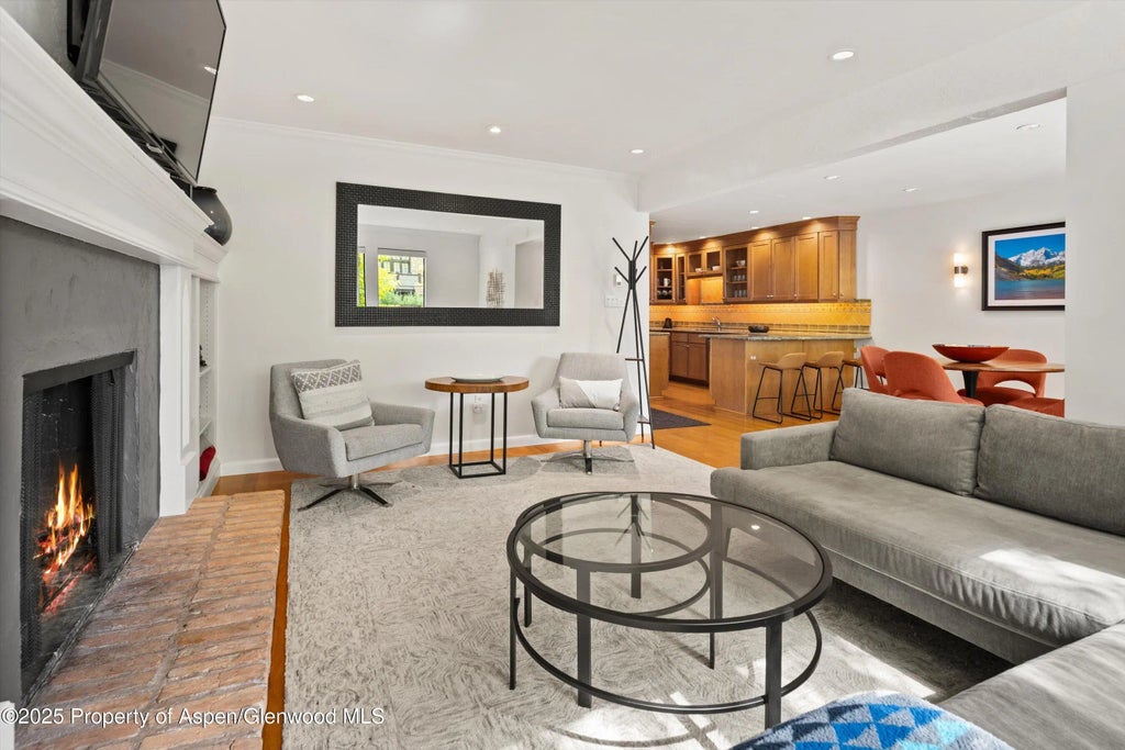 6 of 26 - 980 E Hyman Avenue 3, Aspen, CO