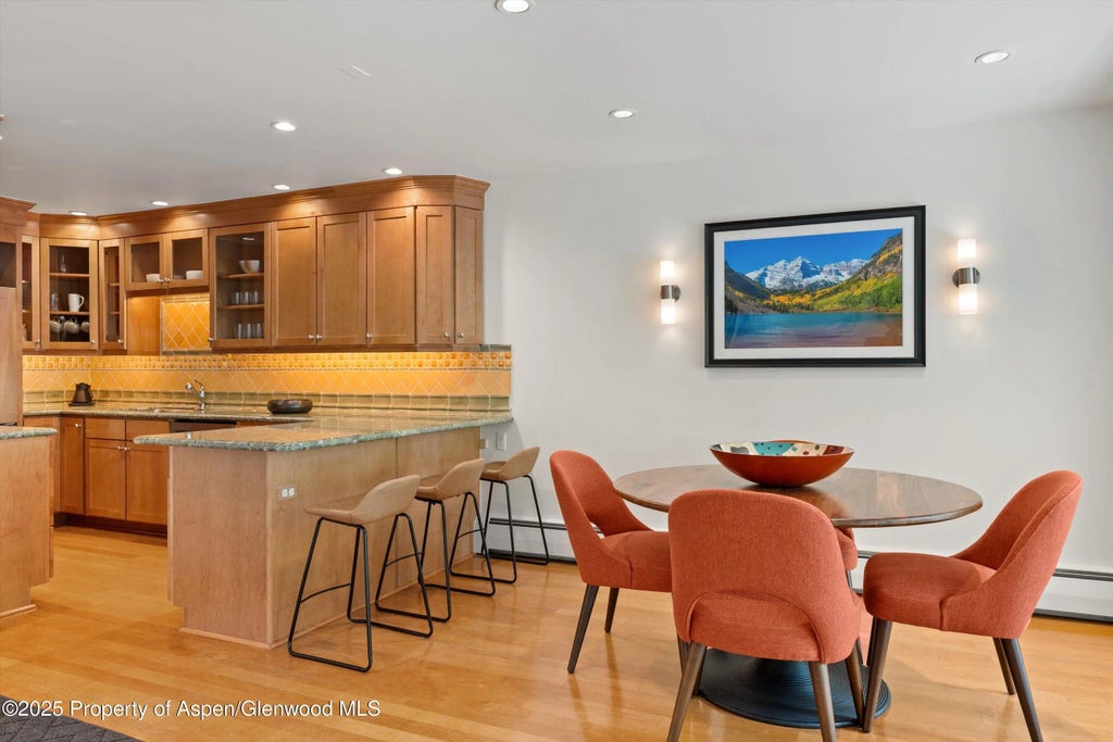 8 of 26 - 980 E Hyman Avenue 3, Aspen, CO