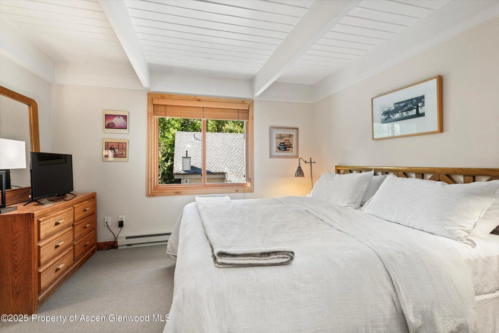 6 of 11 - 901 E Hyman Avenue 13, Aspen, CO