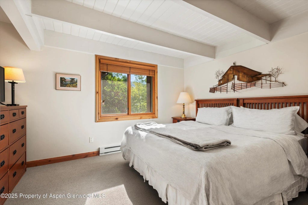 8 of 11 - 901 E Hyman Avenue 13, Aspen, CO