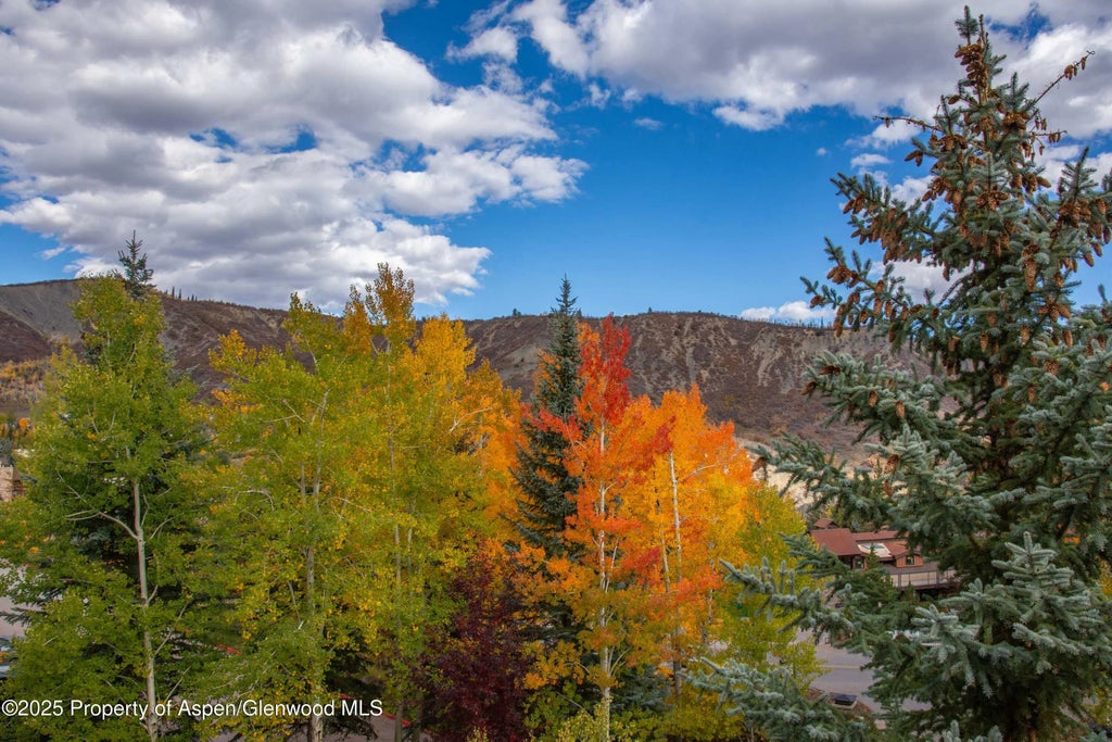 21 of 27 - 425 Wood Road 10, Snowmass Village, CO