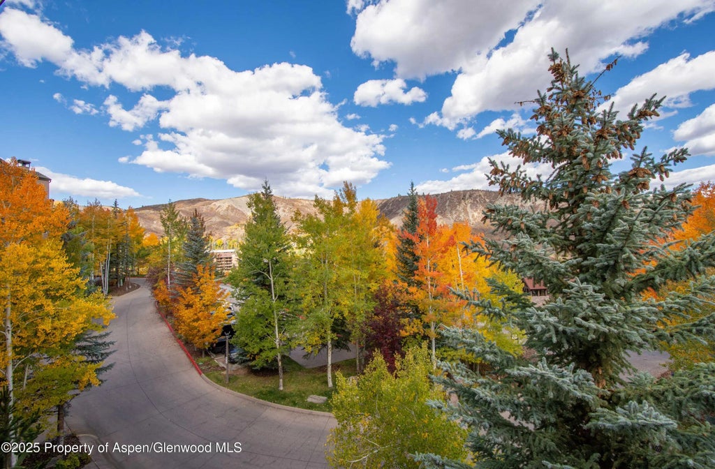 22 of 27 - 425 Wood Road 10, Snowmass Village, CO