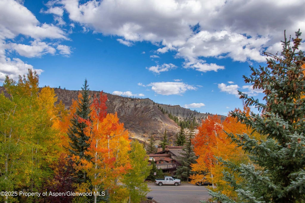 27 of 27 - 425 Wood Road 10, Snowmass Village, CO