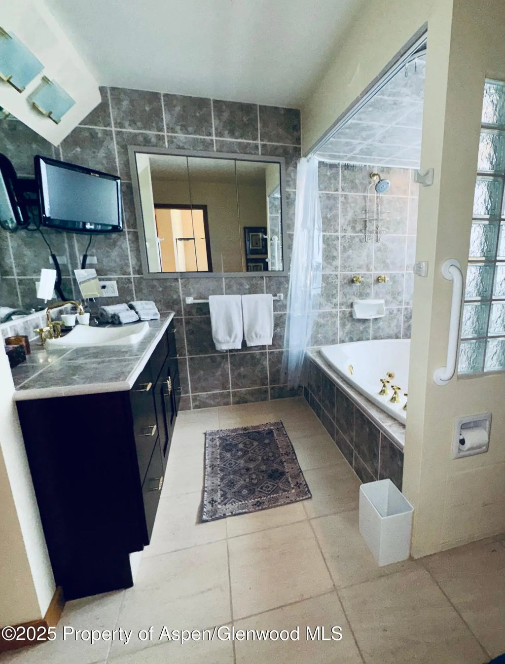 14 of 29 - 302 Roaring Fork Drive, Aspen, CO