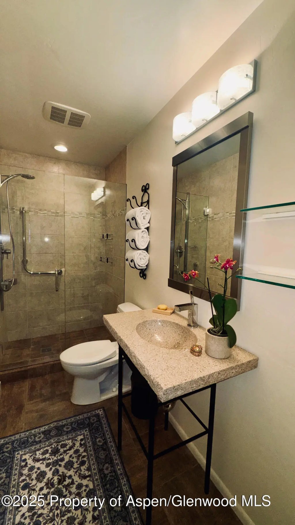 18 of 29 - 302 Roaring Fork Drive, Aspen, CO