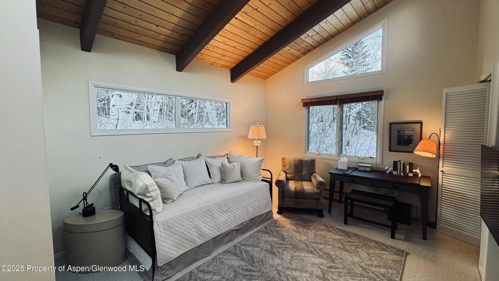 19 of 29 - 302 Roaring Fork Drive, Aspen, CO