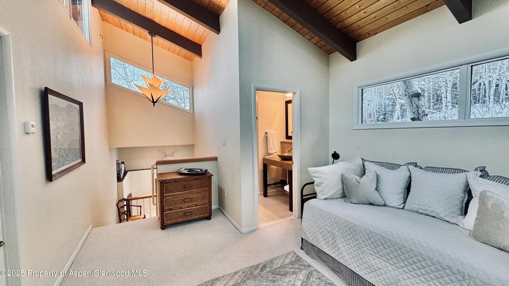 20 of 29 - 302 Roaring Fork Drive, Aspen, CO