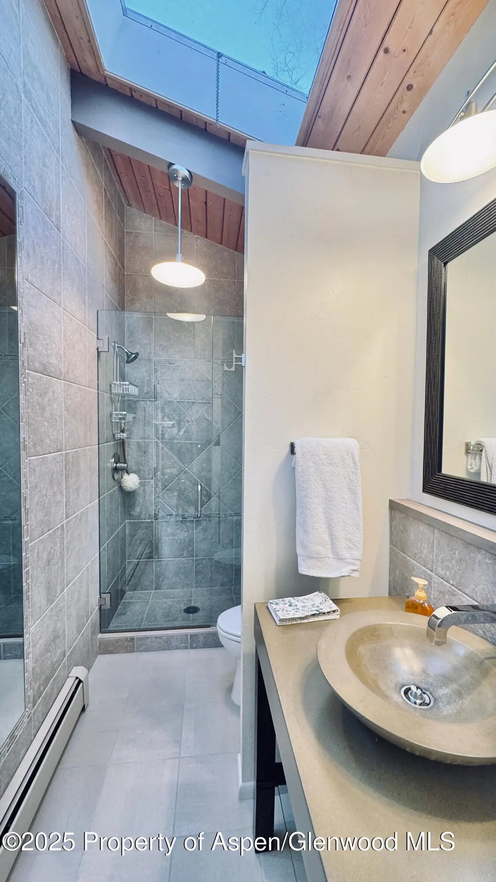 21 of 29 - 302 Roaring Fork Drive, Aspen, CO