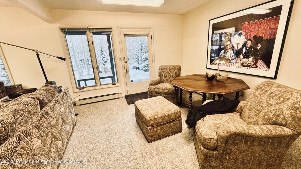 23 of 29 - 302 Roaring Fork Drive, Aspen, CO