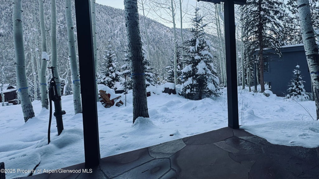 24 of 29 - 302 Roaring Fork Drive, Aspen, CO