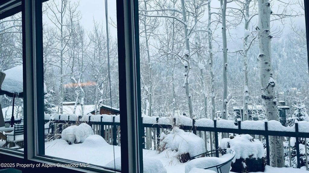 26 of 29 - 302 Roaring Fork Drive, Aspen, CO