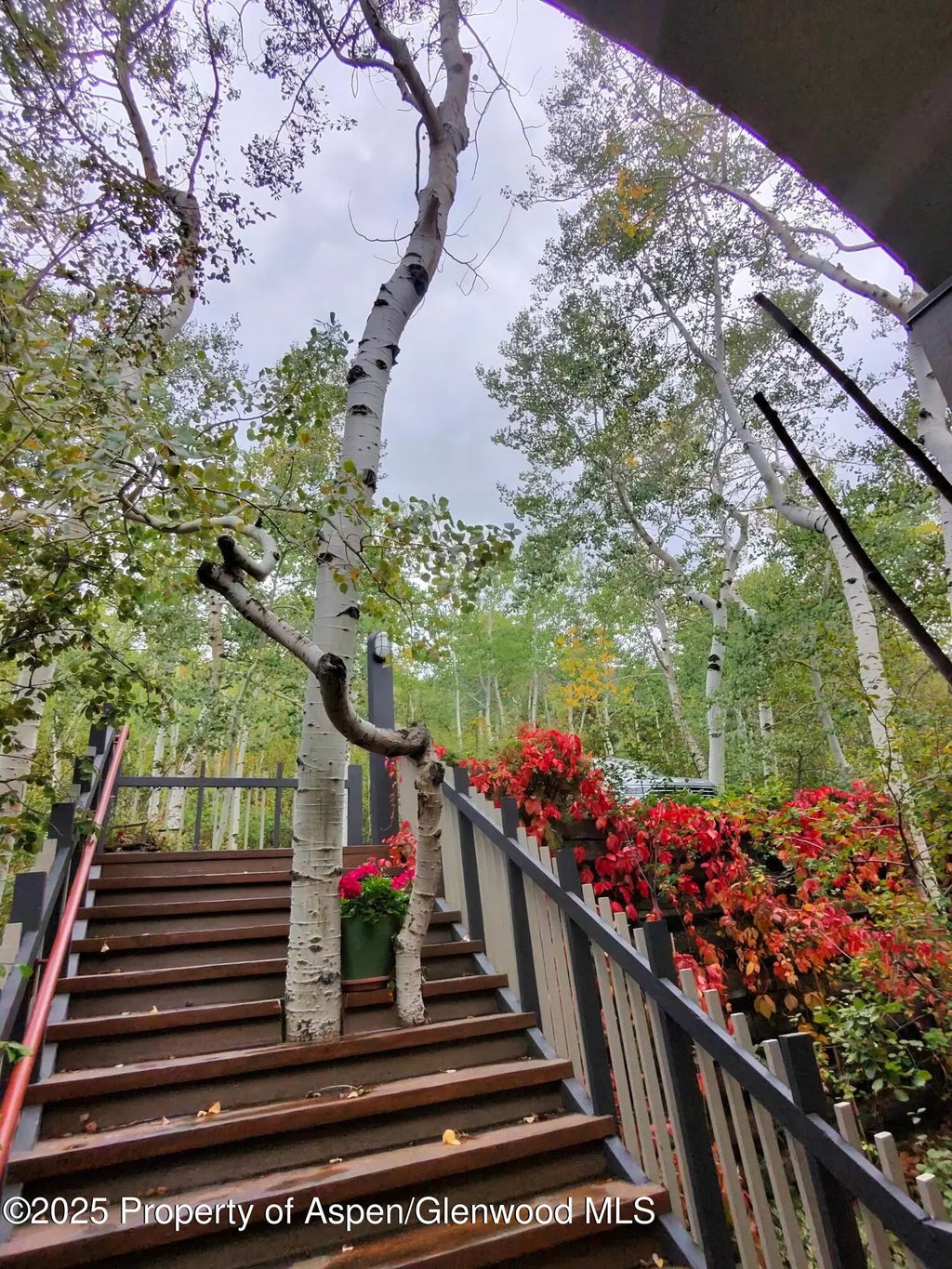 27 of 29 - 302 Roaring Fork Drive, Aspen, CO