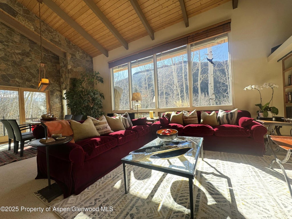 7 of 29 - 302 Roaring Fork Drive, Aspen, CO