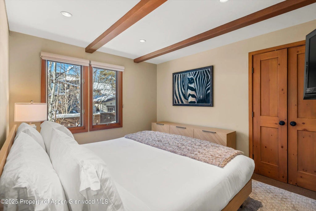 15 of 28 - 825 E Hopkins Avenue 2s, Aspen, CO