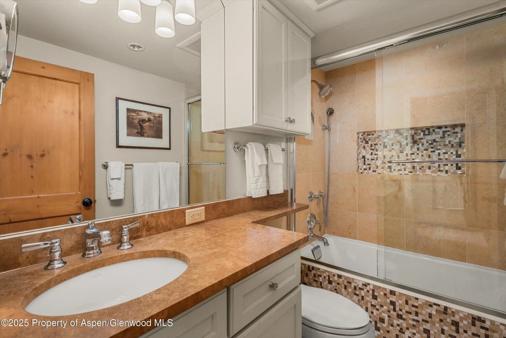 16 of 28 - 825 E Hopkins Avenue 2s, Aspen, CO