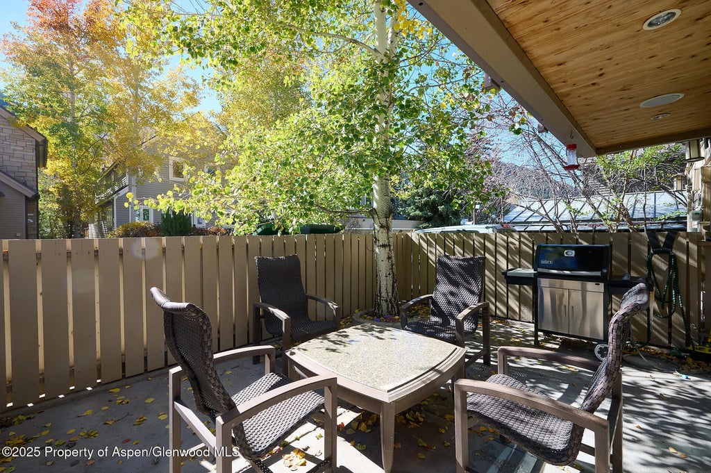 18 of 28 - 825 E Hopkins Avenue 2s, Aspen, CO