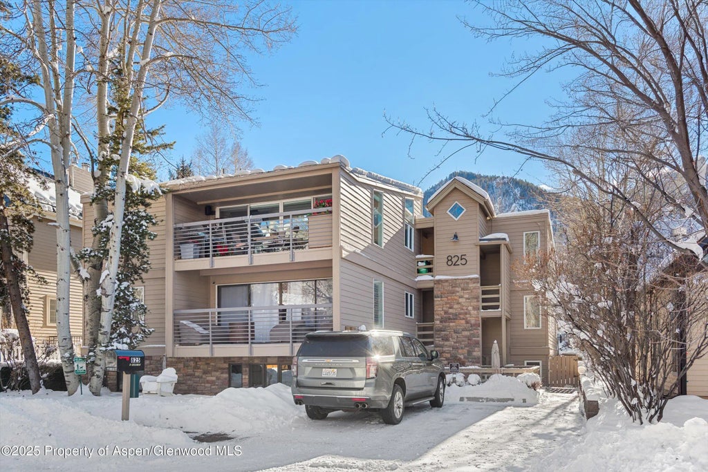 20 of 28 - 825 E Hopkins Avenue 2s, Aspen, CO