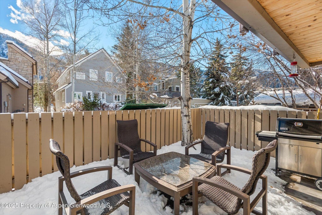 22 of 28 - 825 E Hopkins Avenue 2s, Aspen, CO